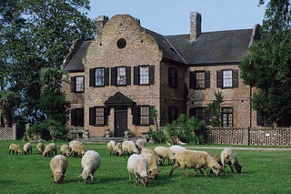 Large colonial brick building behind green pasture and sheep